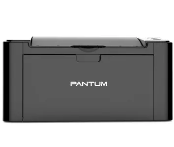 Замена памперса на принтере Pantum P2500NW в Санкт-Петербурге